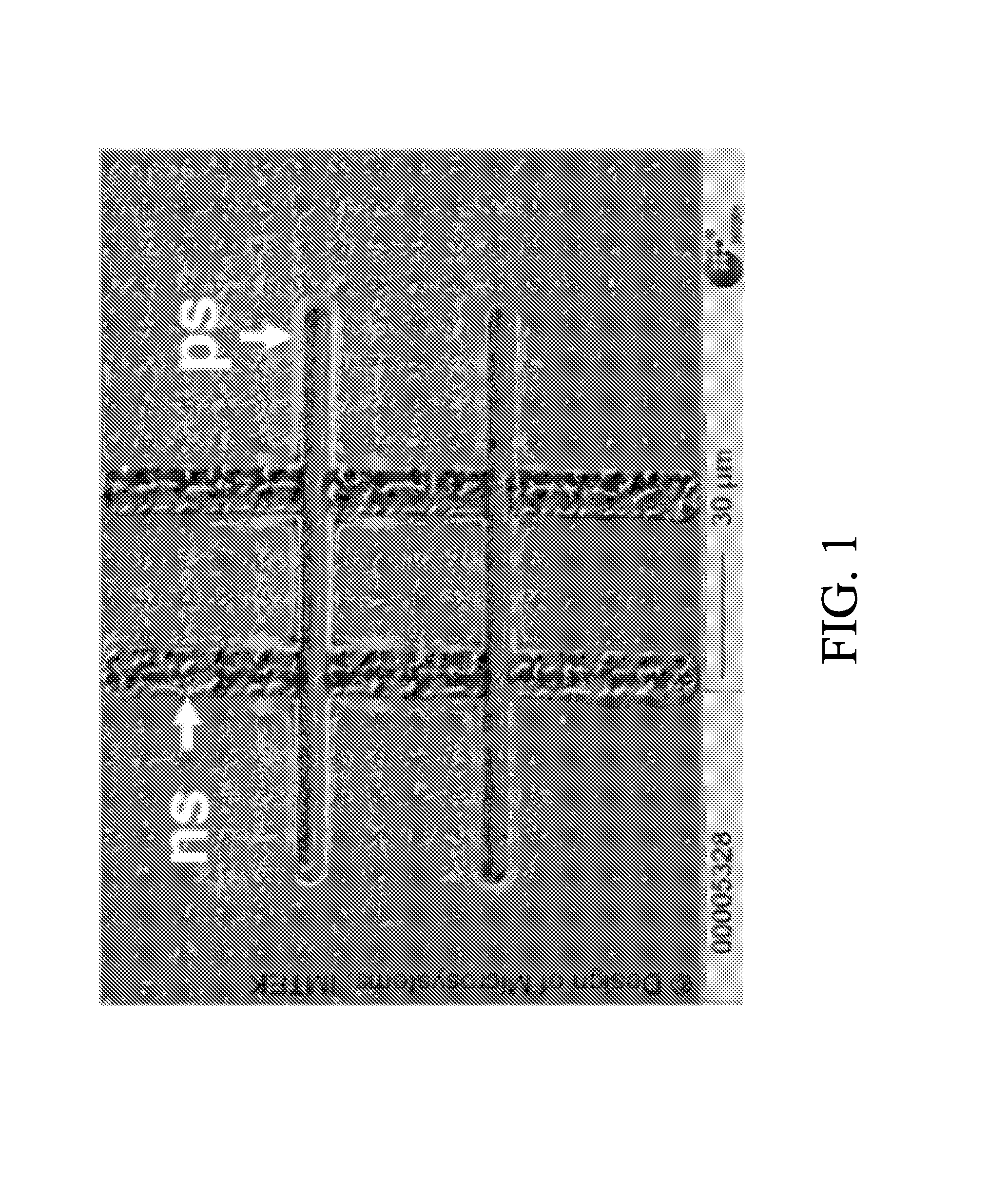 Apparatus for generating short-pulse laser using temporally modulated sideband gain