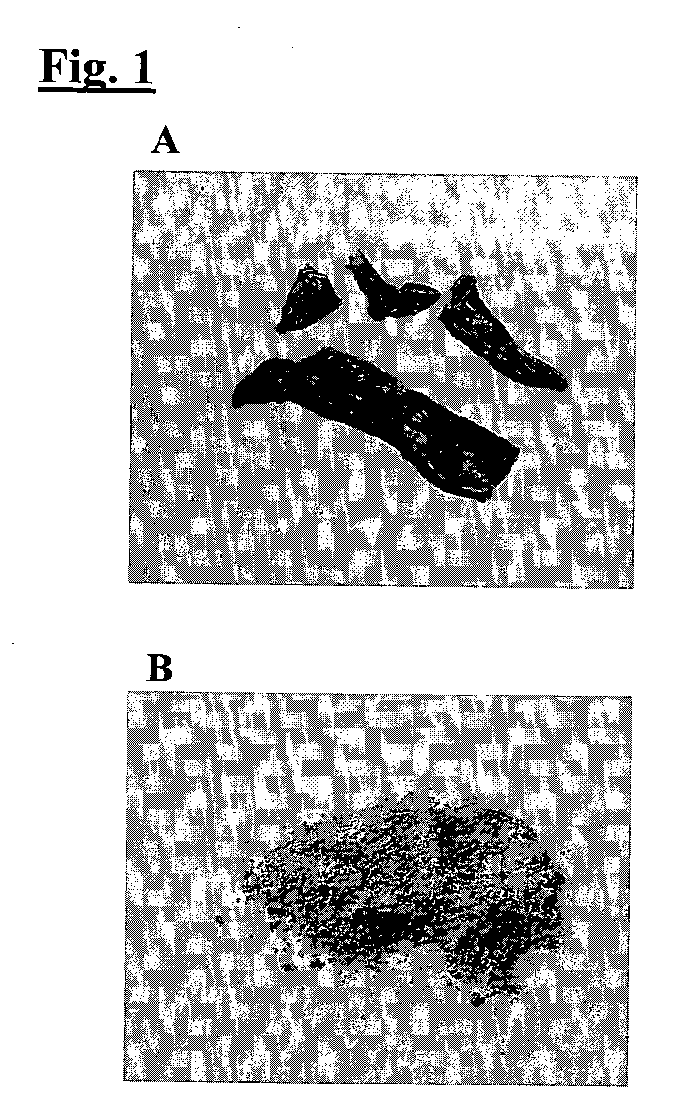 Matrix derived from whole organ