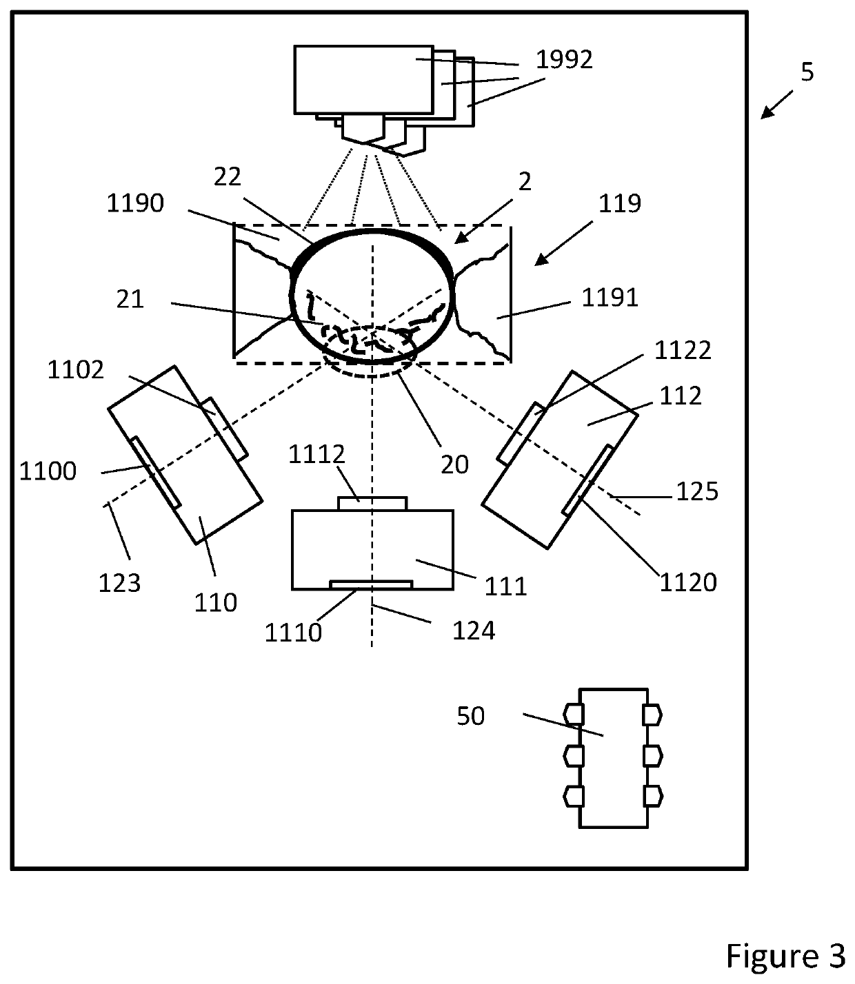 Method and device for biometric vascular recognition and/or identification