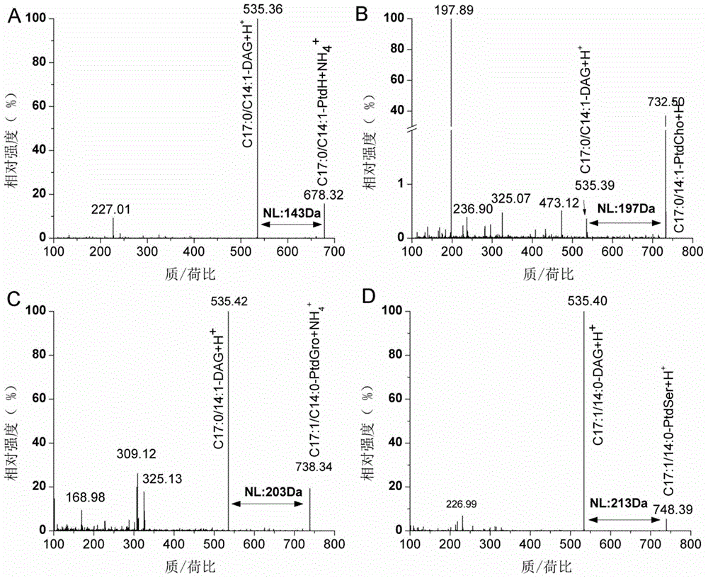Chemical derivatization-based phosphatide classification detection and quantification method