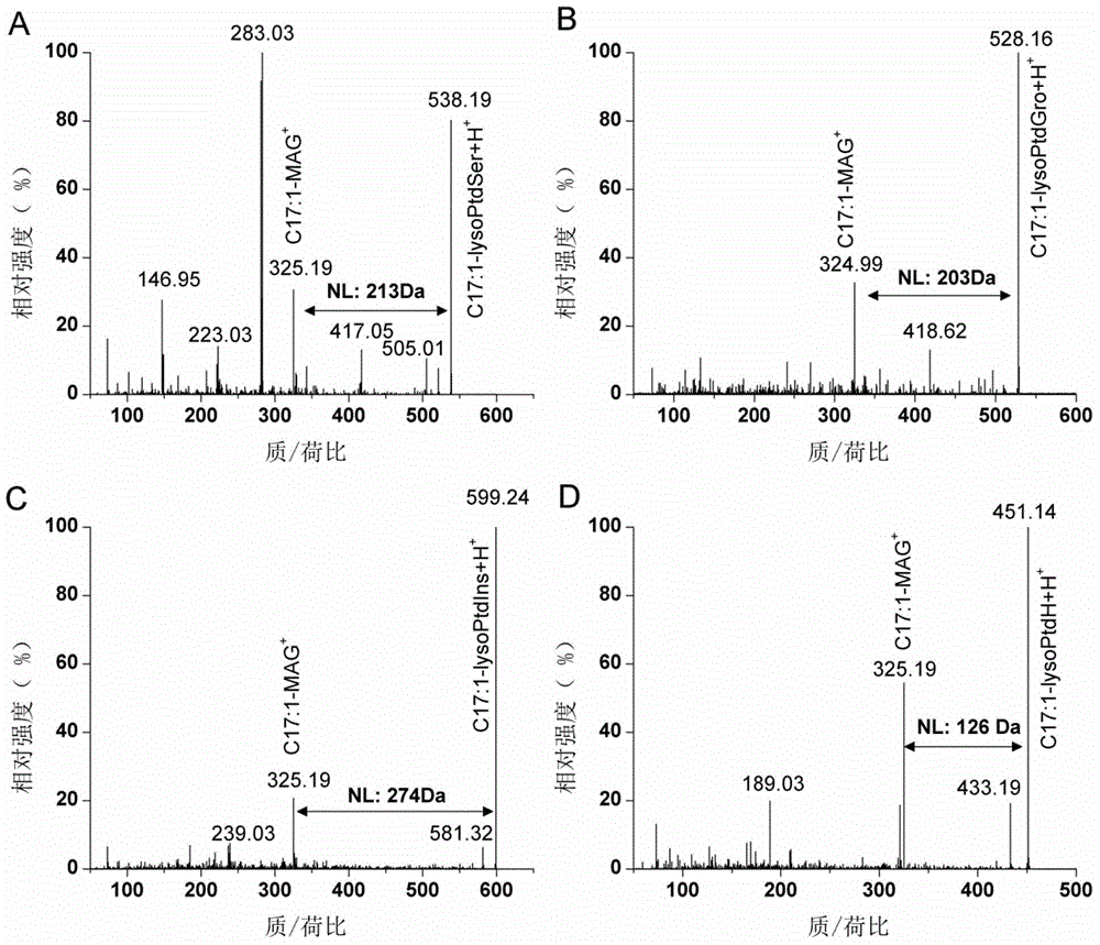 Chemical derivatization-based phosphatide classification detection and quantification method