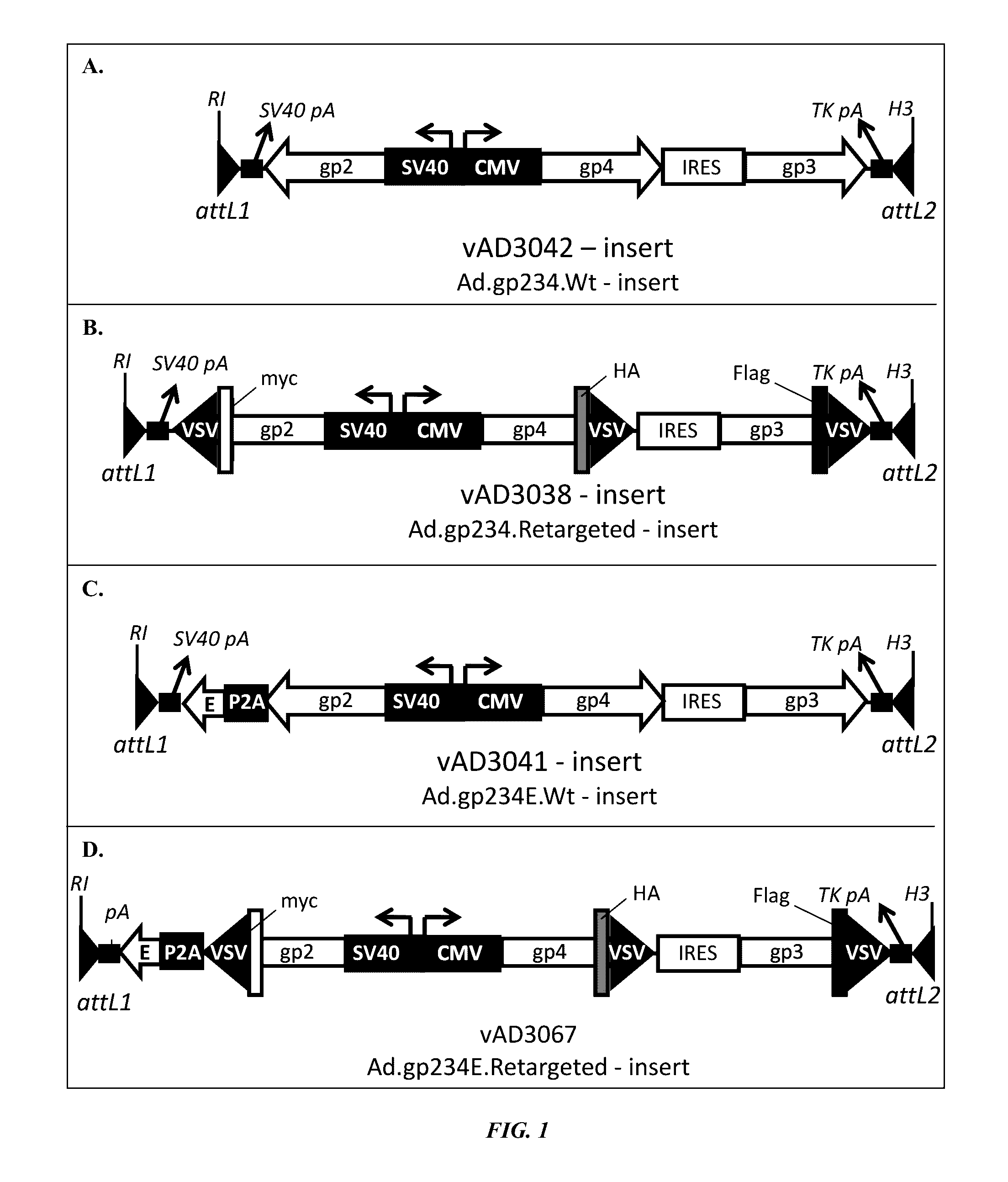 PRRSV minor protein-containing recombinant viral vectors and methods of making and use thereof