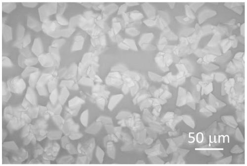 A kind of preparation method of two-dimensional manganese iodide material