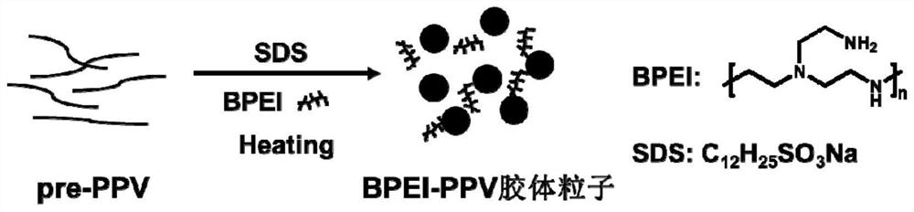 A fingerprint display agent based on fluorescent colloidal particle solution, preparation method and application