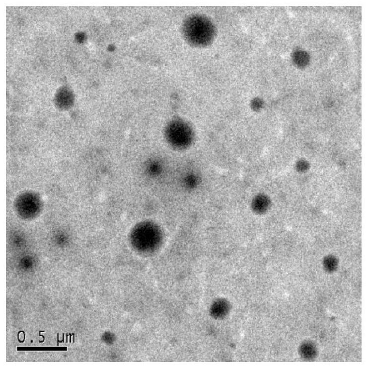 A fingerprint display agent based on fluorescent colloidal particle solution, preparation method and application