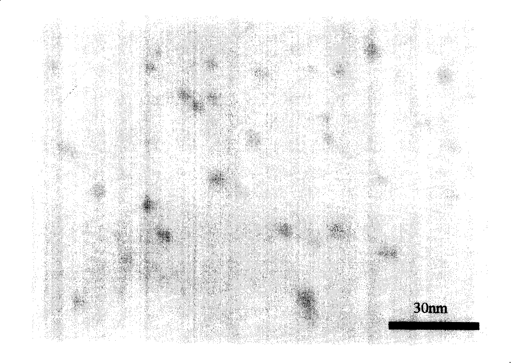 Method for making magnetic nano particle based on solution co-deposition