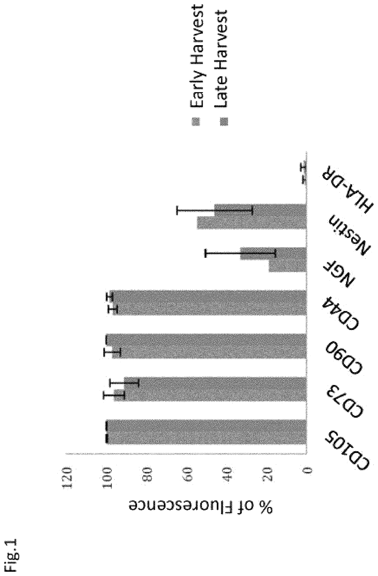 Stem cells expressing mesenchymal and neuronal markers, compositions thereof, and methods of preparation thereof