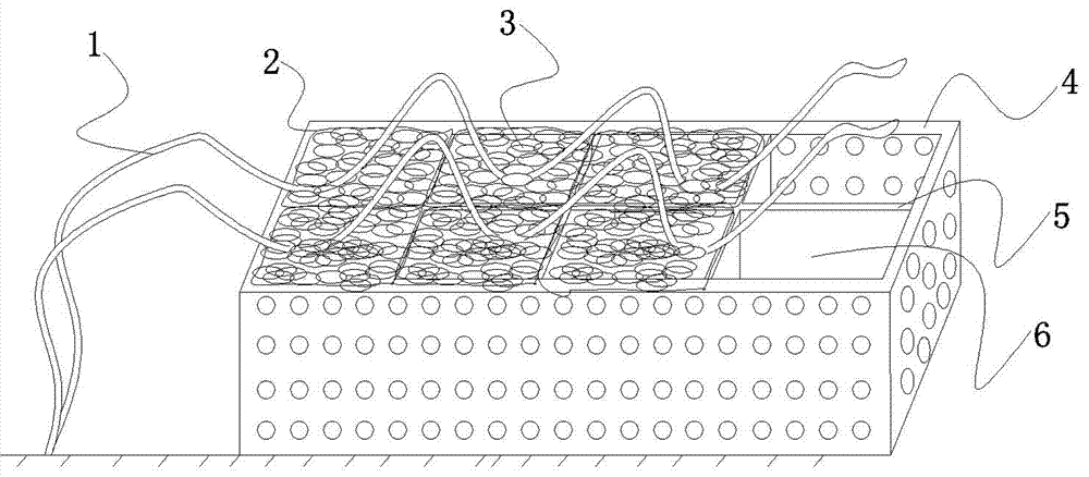 Radix puerariae layering propagation method