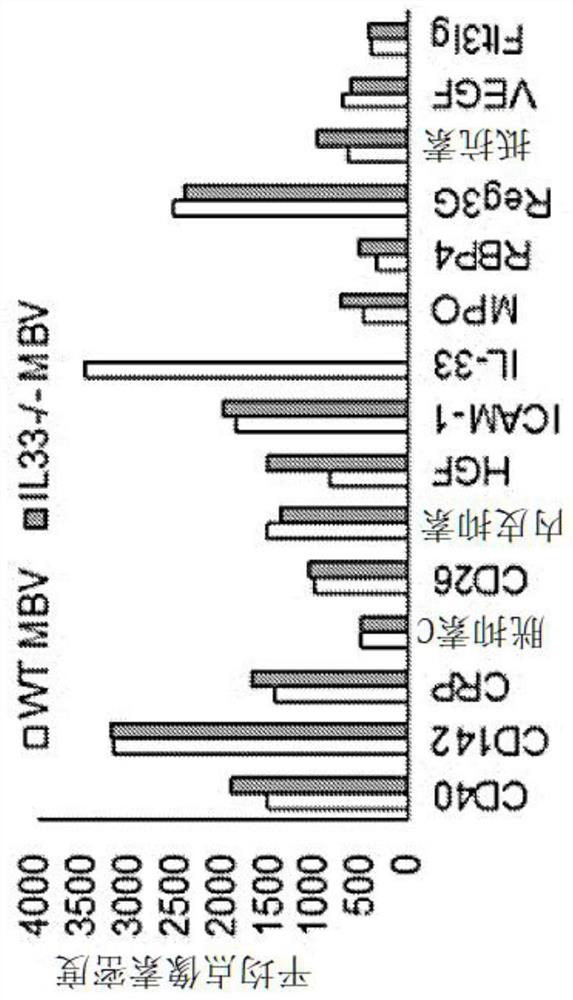 Matrix bound vesicles (MBVS) containing il-33 and their use