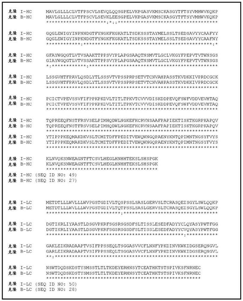 Anti-il4 receptor antibodies for veterinary use