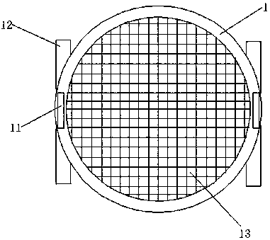 Mesh screen for picking camellia seeds