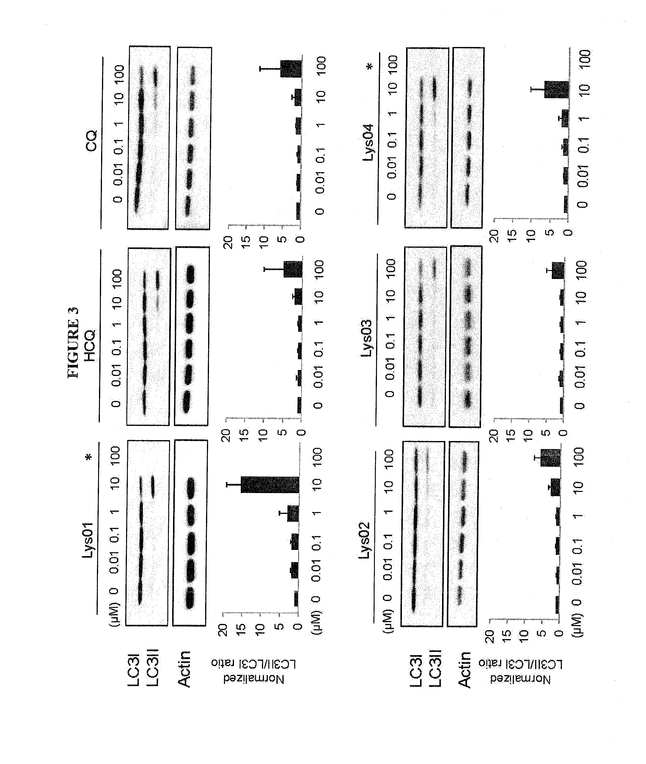 Novel bisaminoquinoline compounds, pharmaceutical compositions prepared therefrom and their use