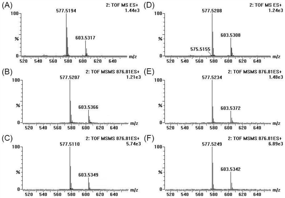 Analysis method of triglyceride position isomer