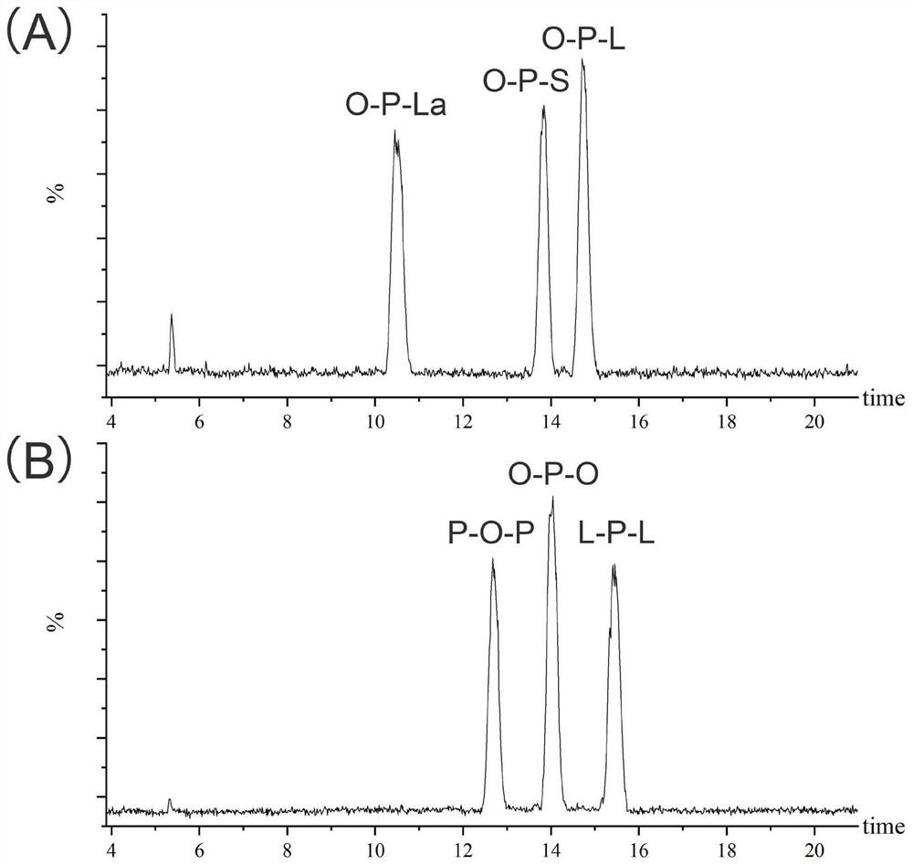 Analysis method of triglyceride position isomer