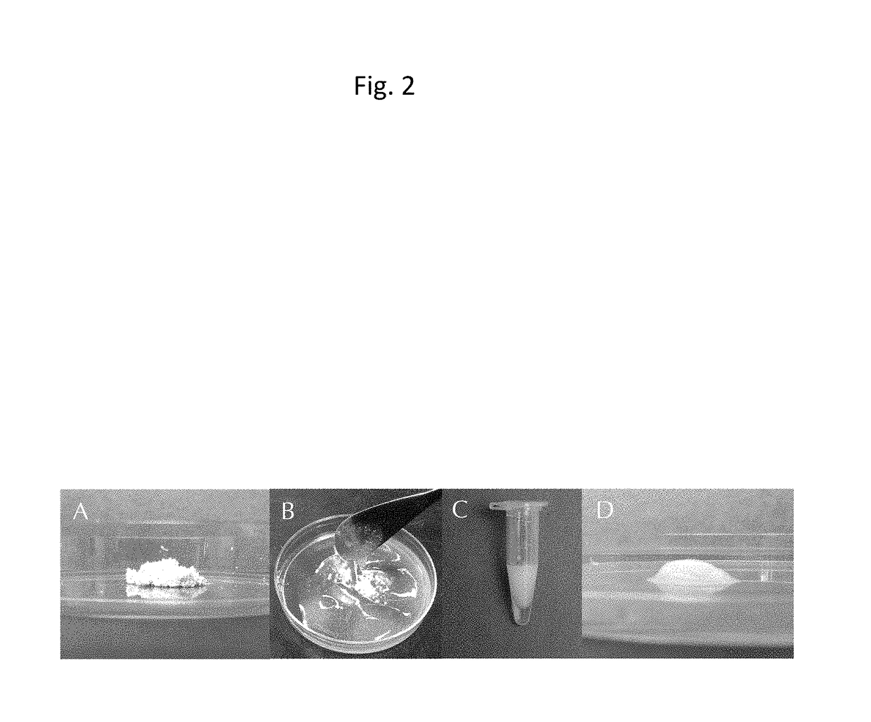 Injectable composition for in-situ repair and regeneration of an injured ligament or tendon and methods of use