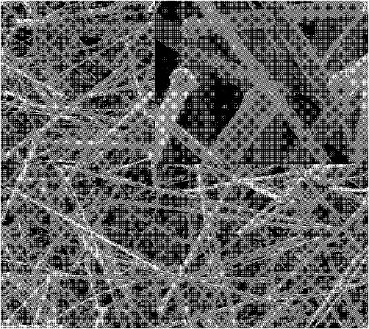 Method for preparing p-type IIB-VIA family quasi-one-dimensional semiconductor nano material by chemical vapor-deposition in-situ doping