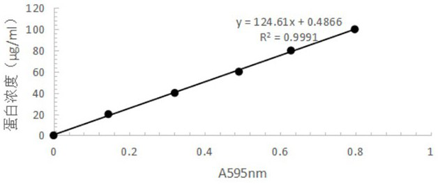 Method for realizing transmembrane transduction of marine microorganism low-temperature lipase gene by utilizing PTD-Tat