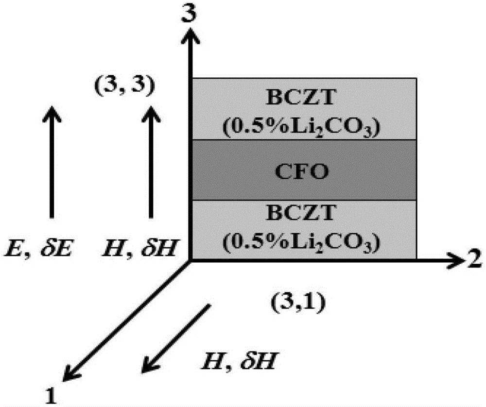 Ba0.9Ca0.1Ti0.9Zr0.1O3/CoFe2O4 layered magnetoelectric composite and preparation method thereof