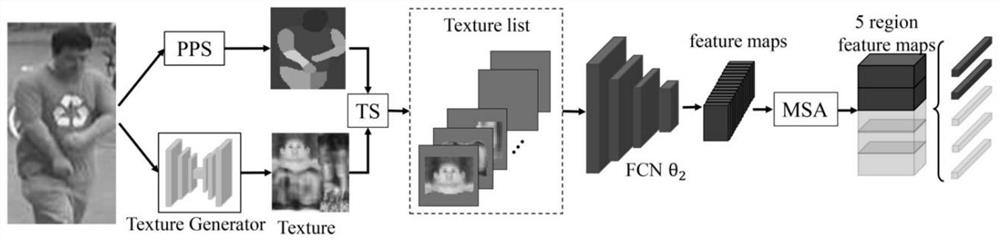 Partial pedestrian re-identification method based on visible perception texture semantic alignment