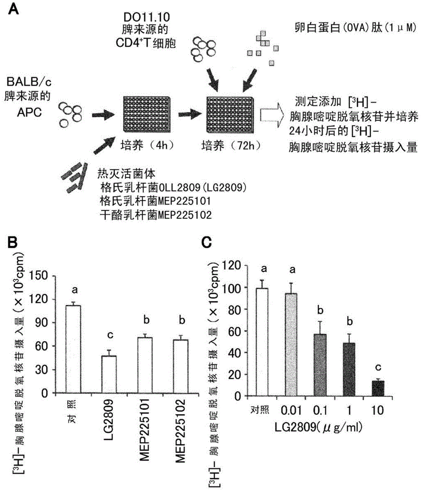 Use of the cell fraction of Lactobacillus gasseri in the manufacture of a composition for alleviating delayed-type hypersensitivity