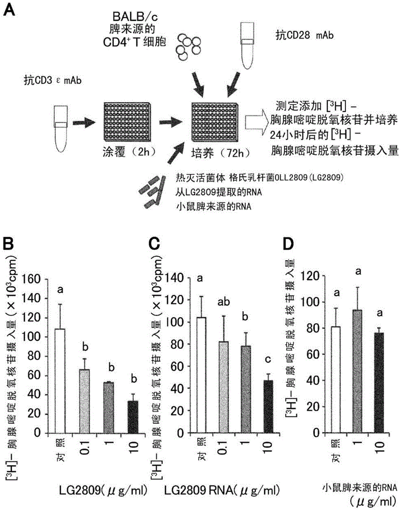 Use of the cell fraction of Lactobacillus gasseri in the manufacture of a composition for alleviating delayed-type hypersensitivity