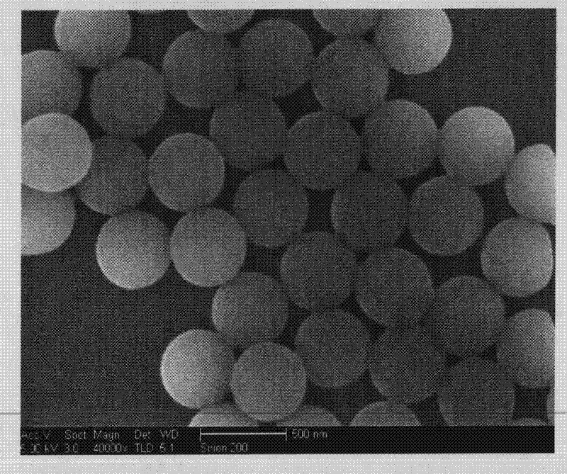 Method for preparing core-shell structured composite nano surface molecular imprinting polymer of tanshinone compound