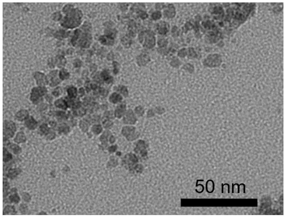 One-step method for preparing surface-functionalized superpara-Fe3O4 magnetic nanoparticles