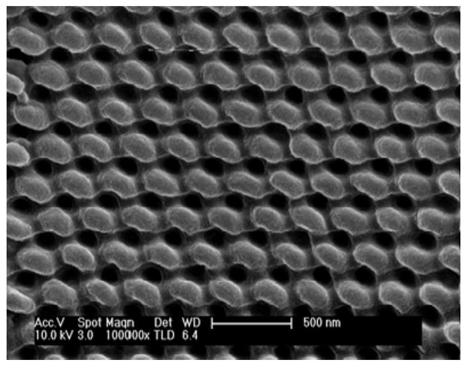 Micro-nano structured optical element and its preparation method and application