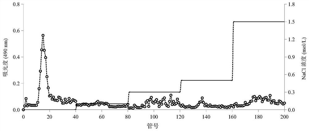 Symphytum officinale polysaccharide based on response surface method optimized enzyme-assisted extraction and preparation method and application thereof