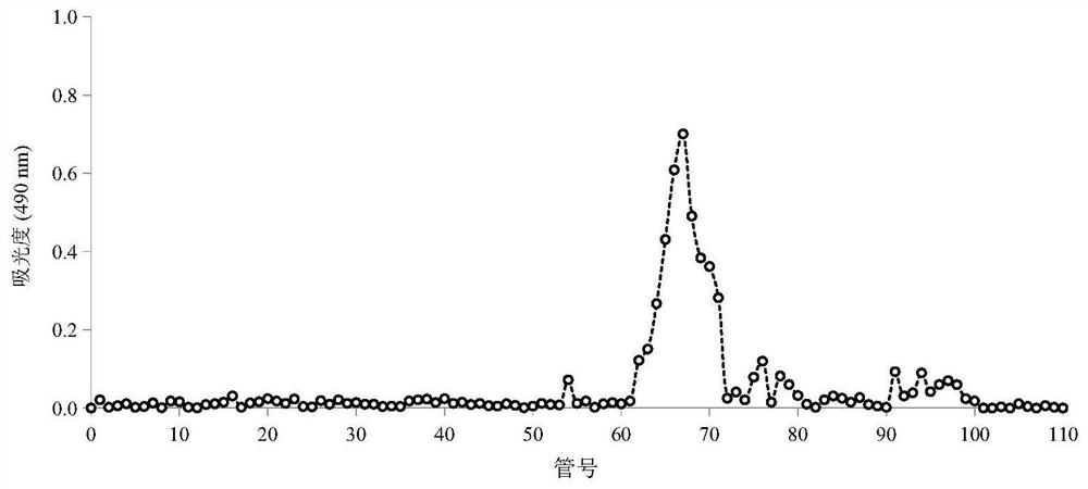Symphytum officinale polysaccharide based on response surface method optimized enzyme-assisted extraction and preparation method and application thereof