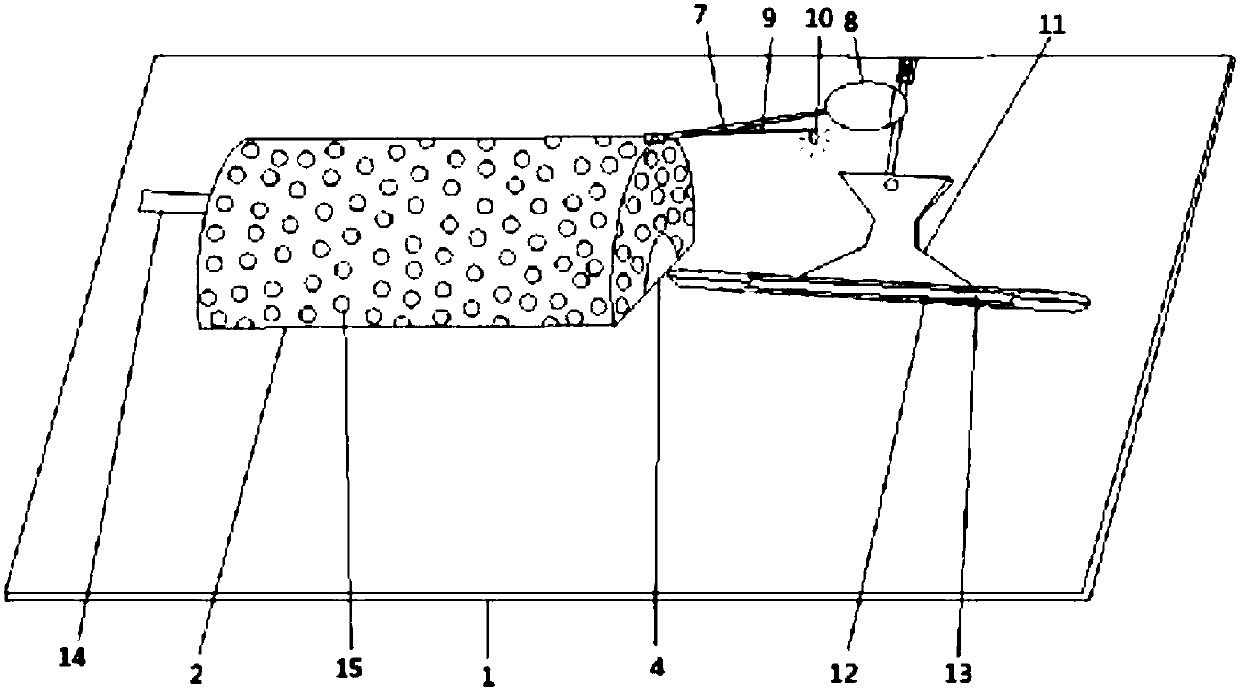 A device for animal tail vein injection