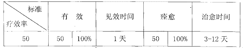 Externally applied medicine for treating cattle anthracnose