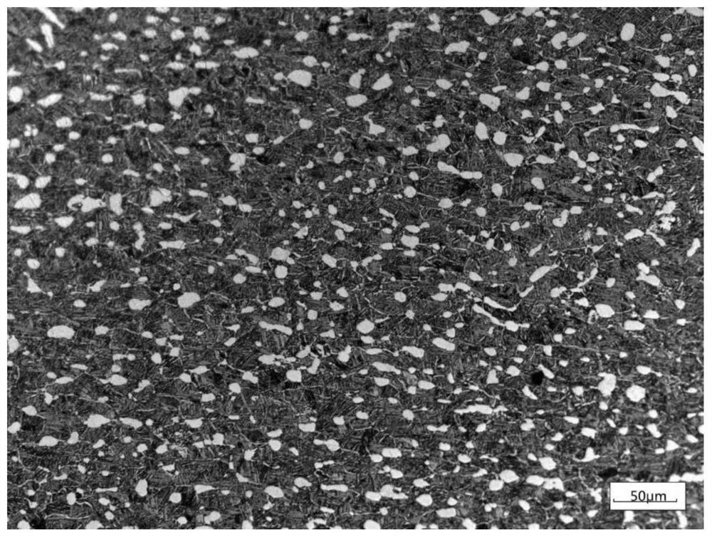 Prediction method of low-magnification coarse-grain structure distribution in near-alpha titanium alloy