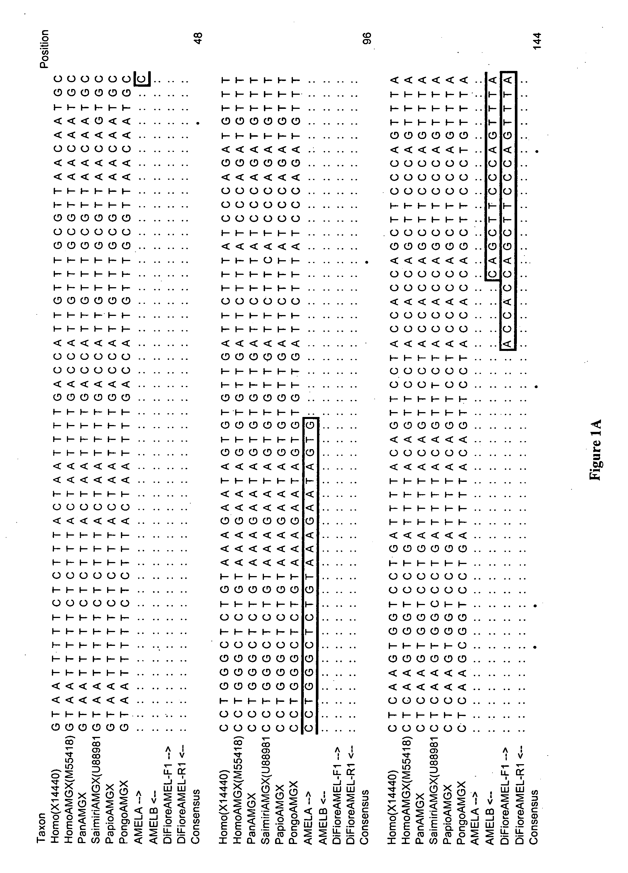 Assay for determining the sex of primates