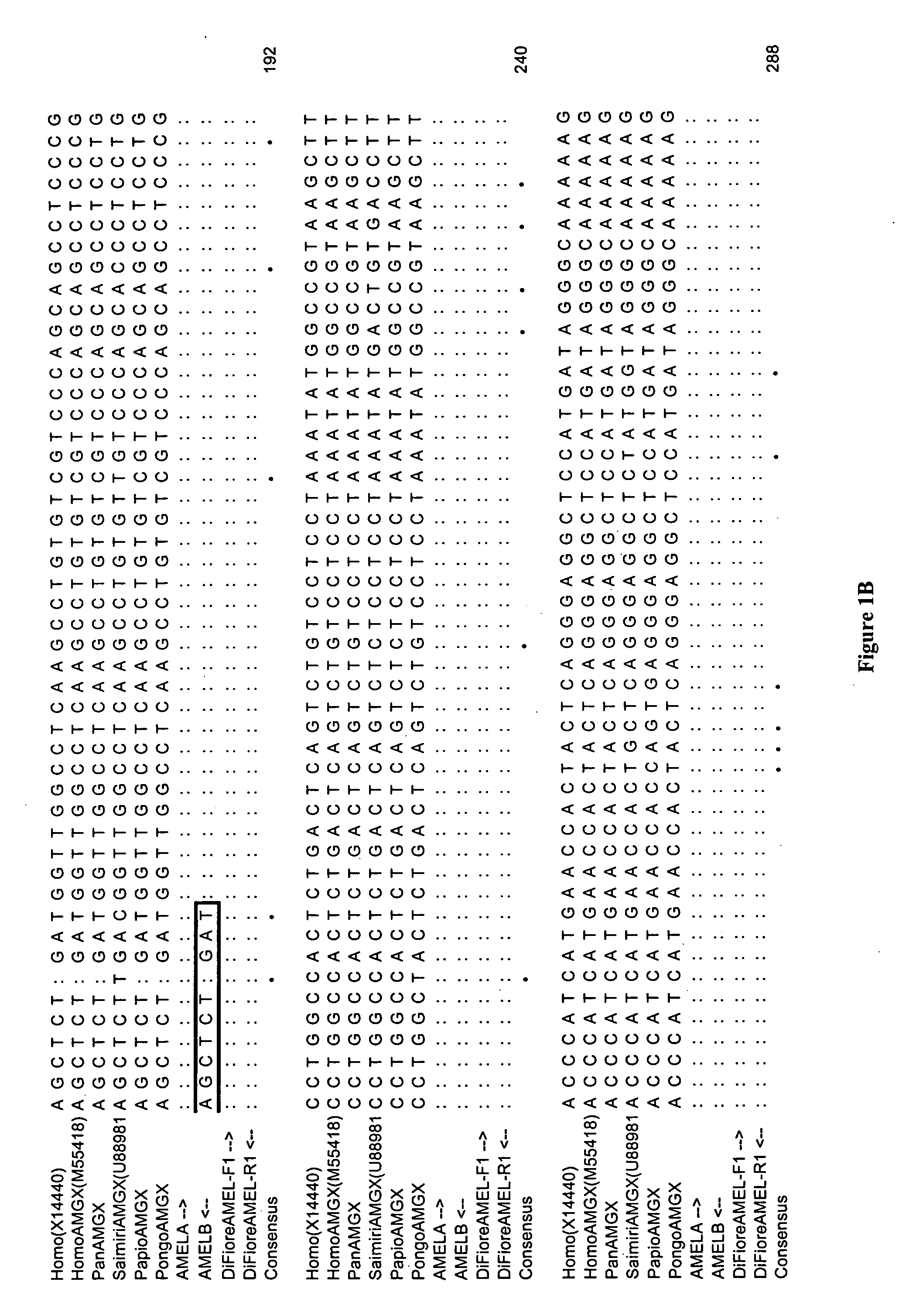 Assay for determining the sex of primates