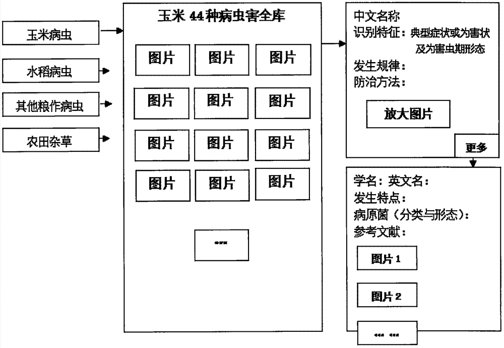 Grain crop pest diagnosis and treatment expert system