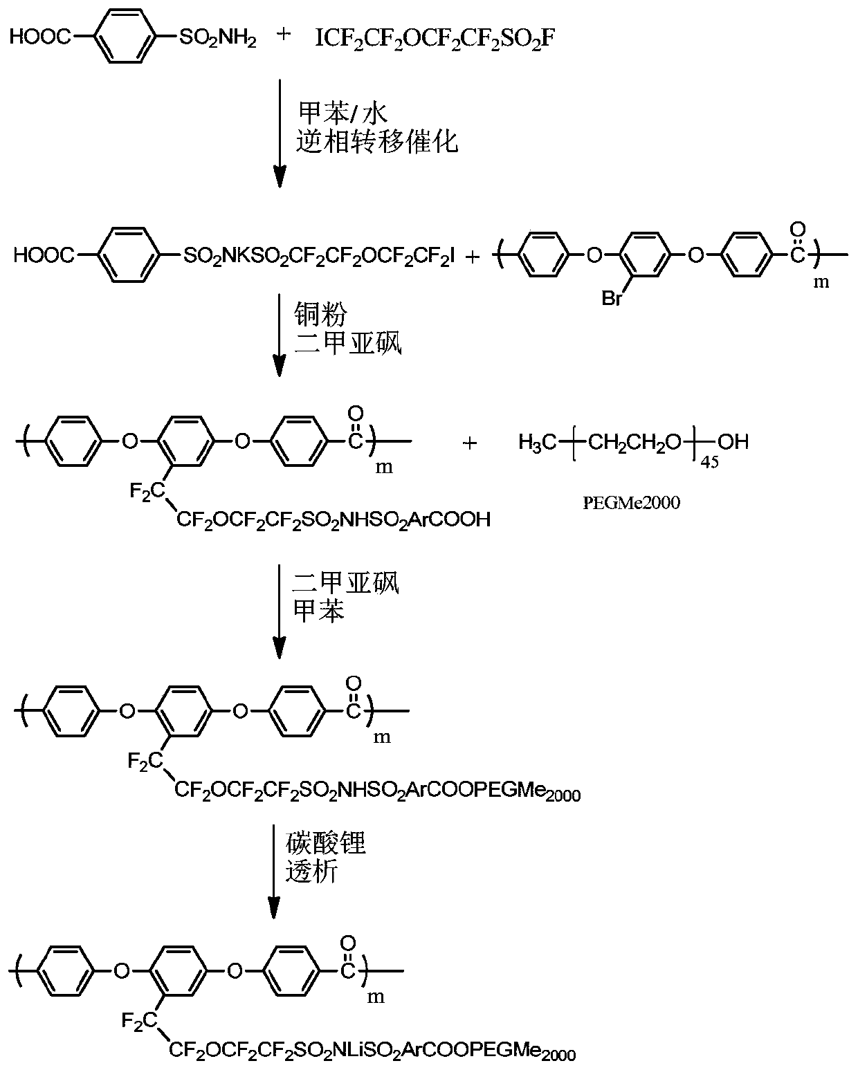 Self-plasticized fluoropolymer lithium ion conductor, its preparation method and application