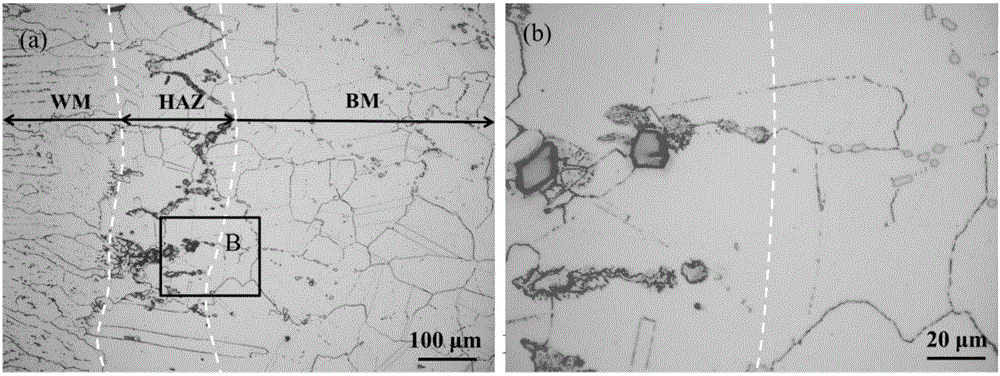 Method for measuring length of heat-affected zone of 617 nickel-based alloy