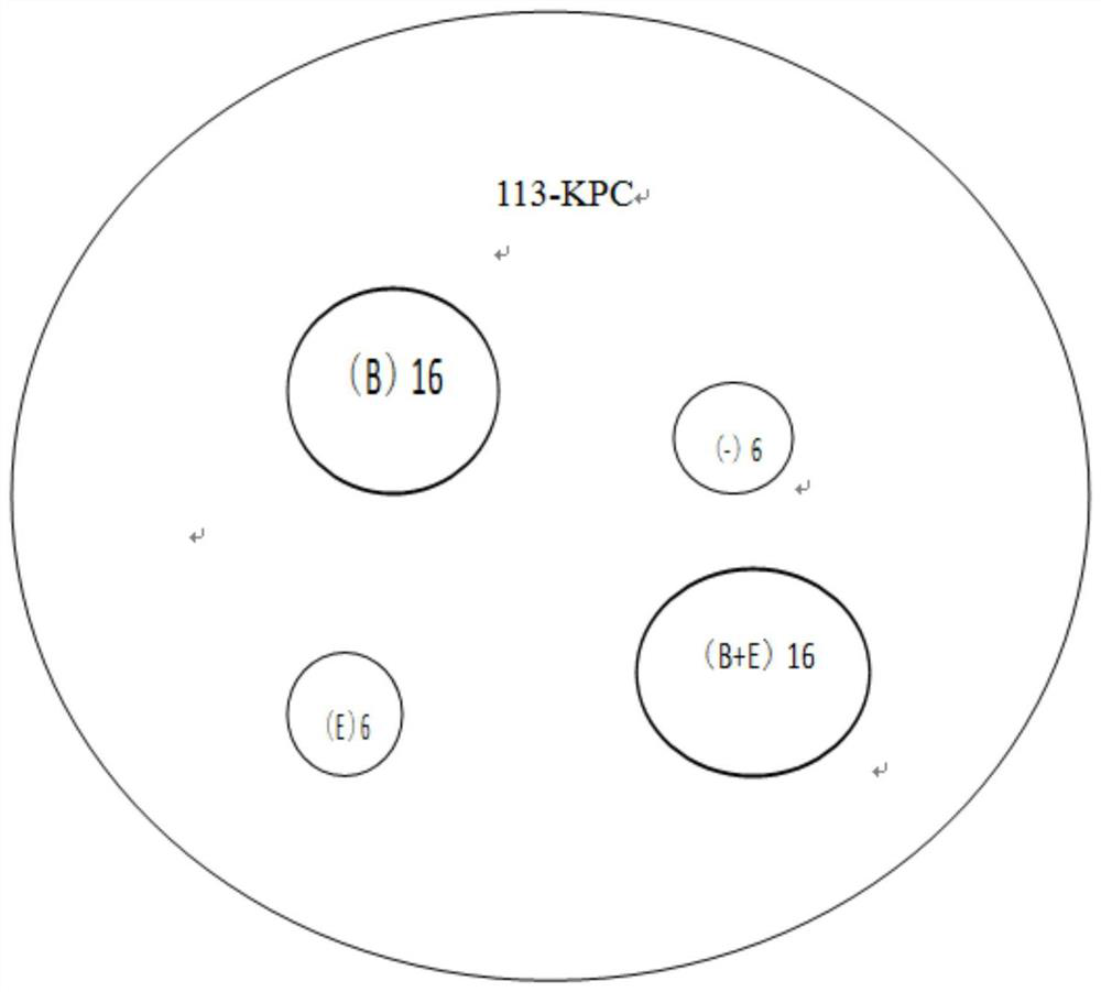 Detection reagent and method for detecting enzyme type of carbapenemase