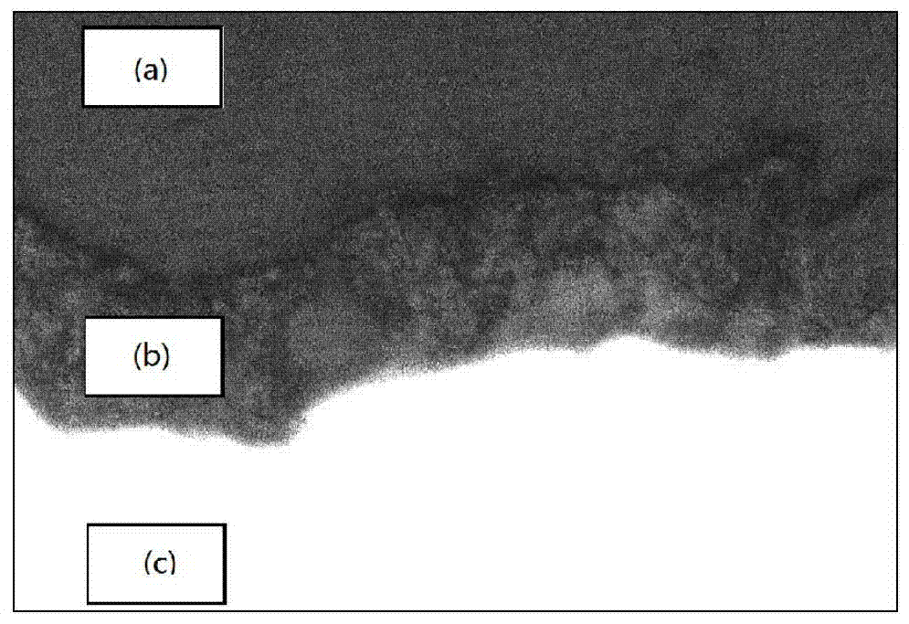 Device and method for measuring film thickness