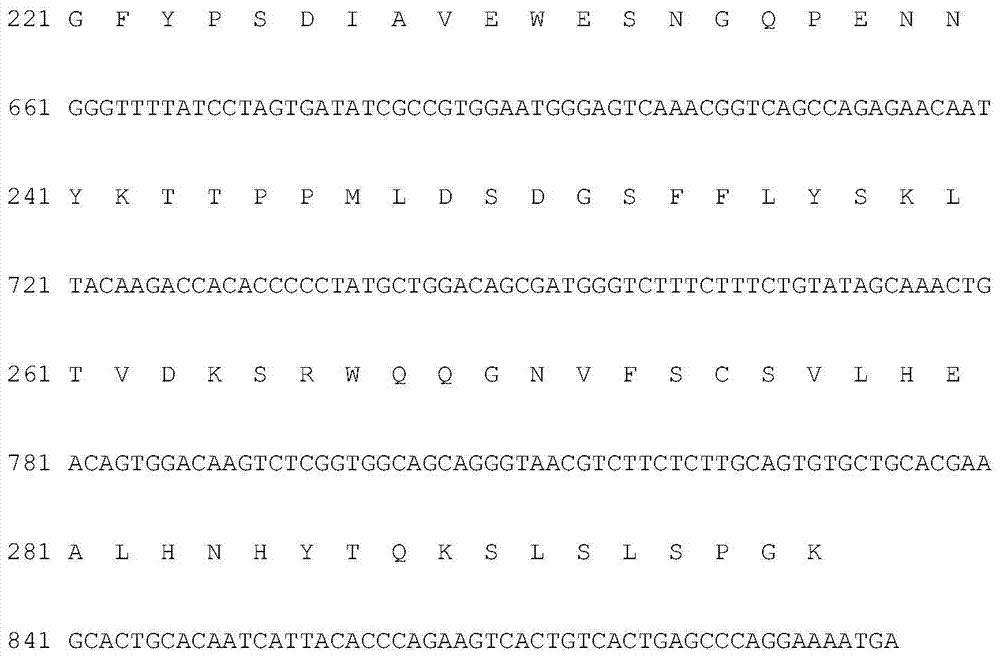 Exendin-4 analog fusion protein and its preparation method and use