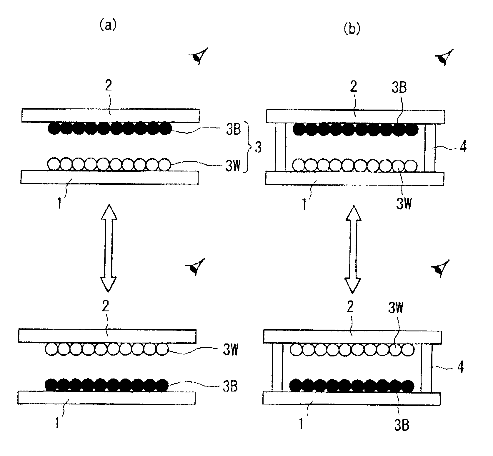 Particle for display medium and information display panel utilizing the same