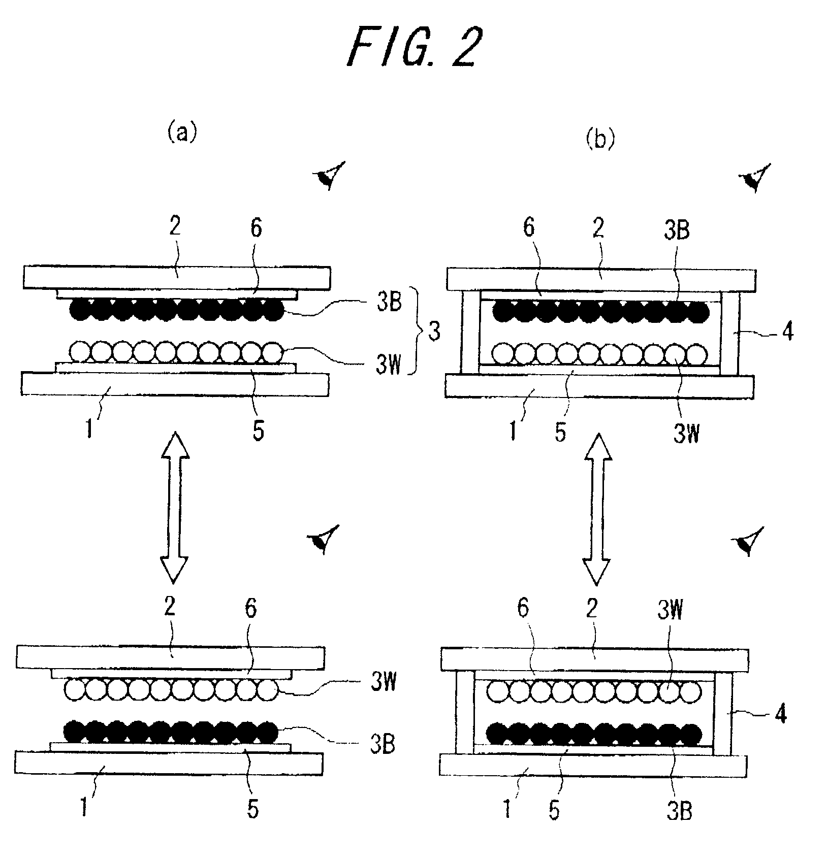 Particle for display medium and information display panel utilizing the same