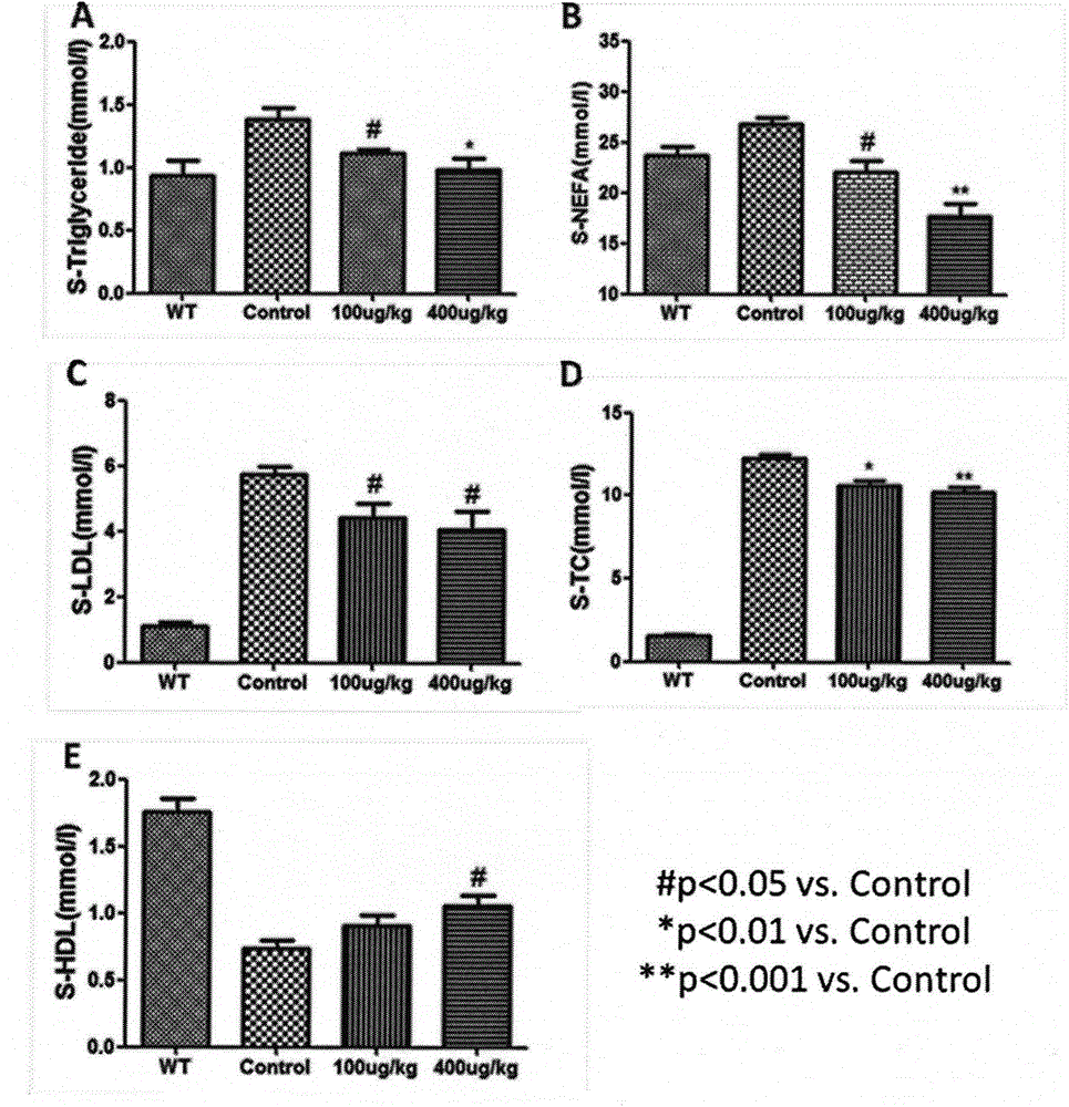 Application of recombinant human fibroblast growth factor 21 in prevention and treatment of atherosclerosis and related diseases