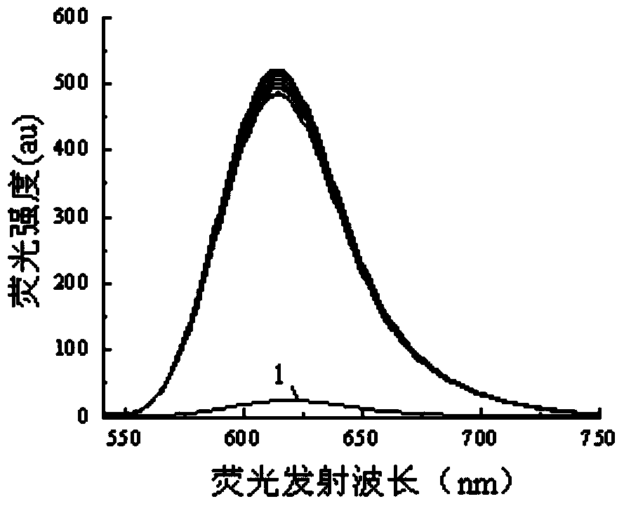 Rhodamine fluorescent molecular probe using quinoline derivative as identification group and synthesis method thereof