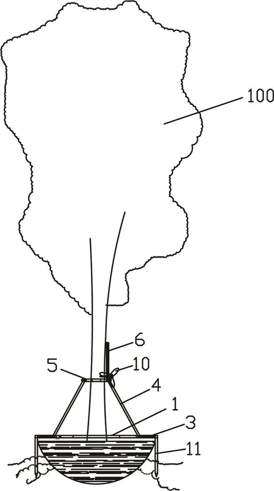 A wind-controlled tree support device