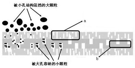 A kind of preparation method and application of gradient structure pet melt-blown non-woven fabric for secondary forming filter of double rolling mill