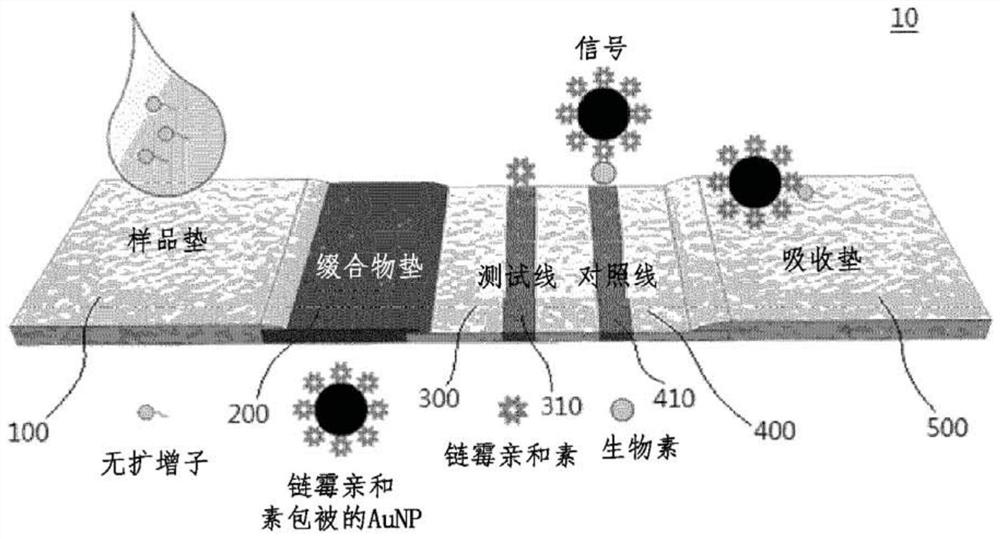 Lateral flow analysis strip and molecular diagnostic method using same