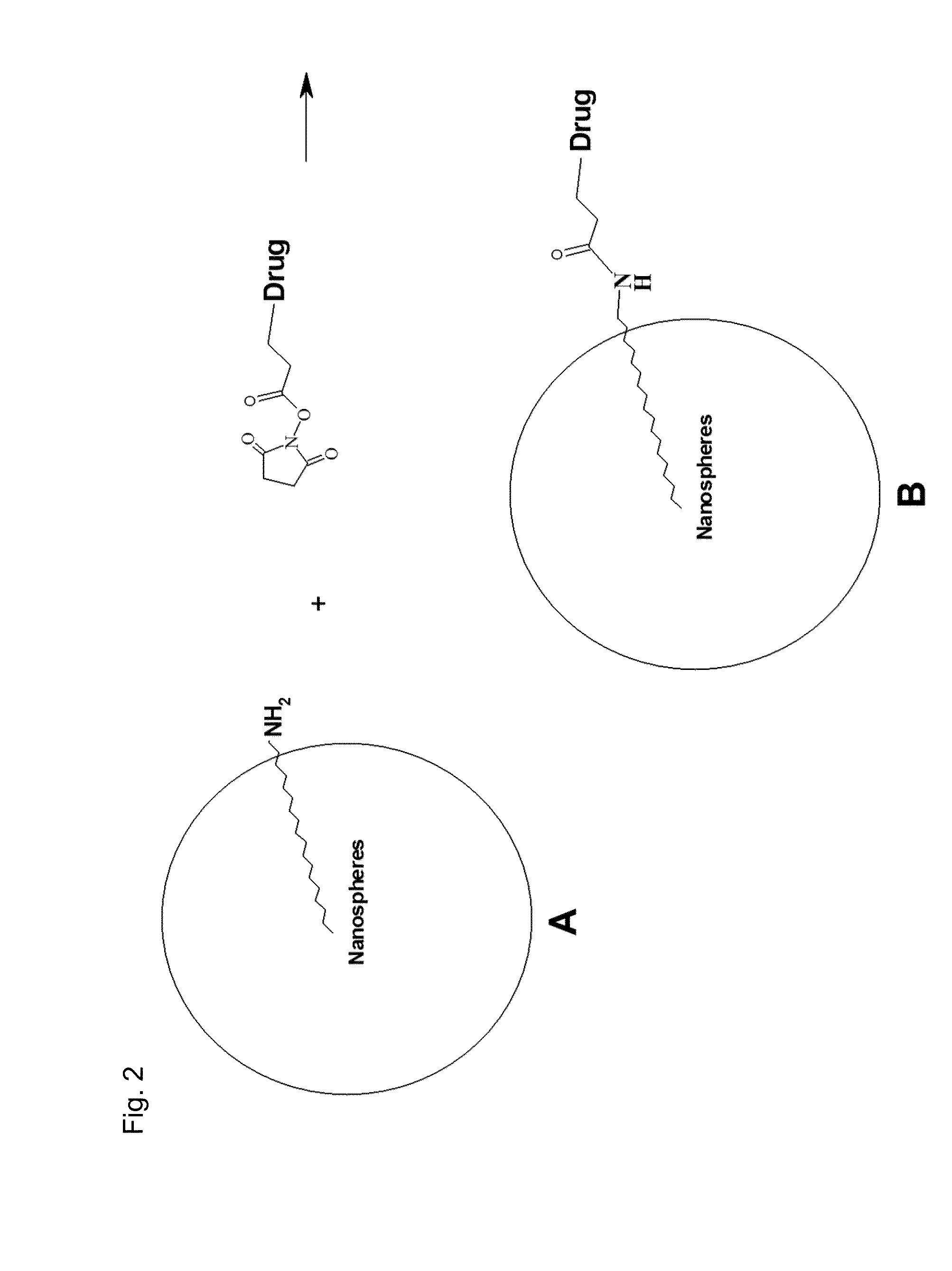 Nanospheres comprising tocopherol, an amphiphilic spacer and a therapeutic or imaging agent