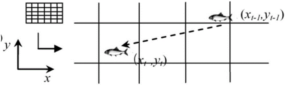 Fish movement and spatial distribution simulation method and system based on individual mode
